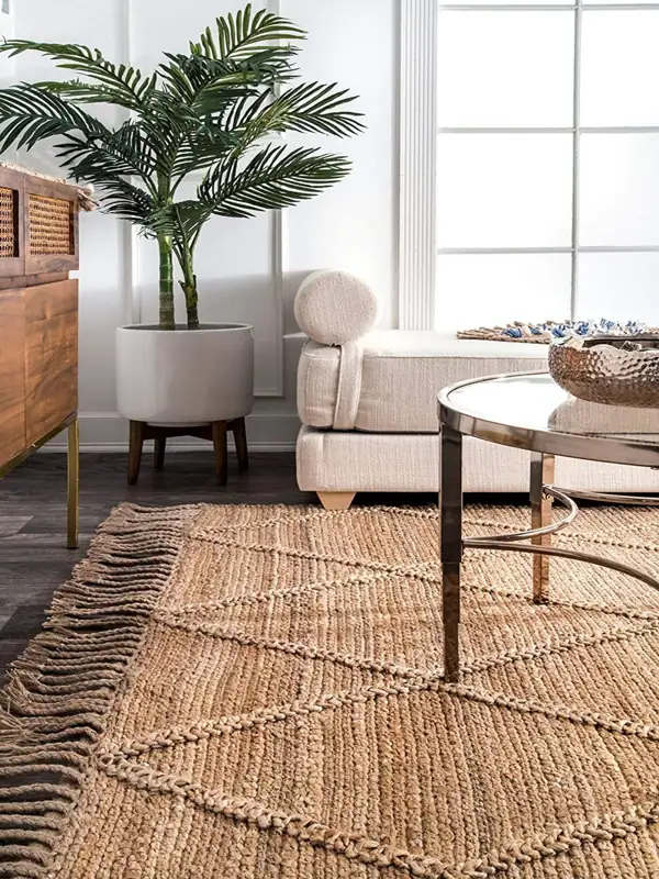 Living room with a patterned jute carpet, a large plant, and a modern coffee table