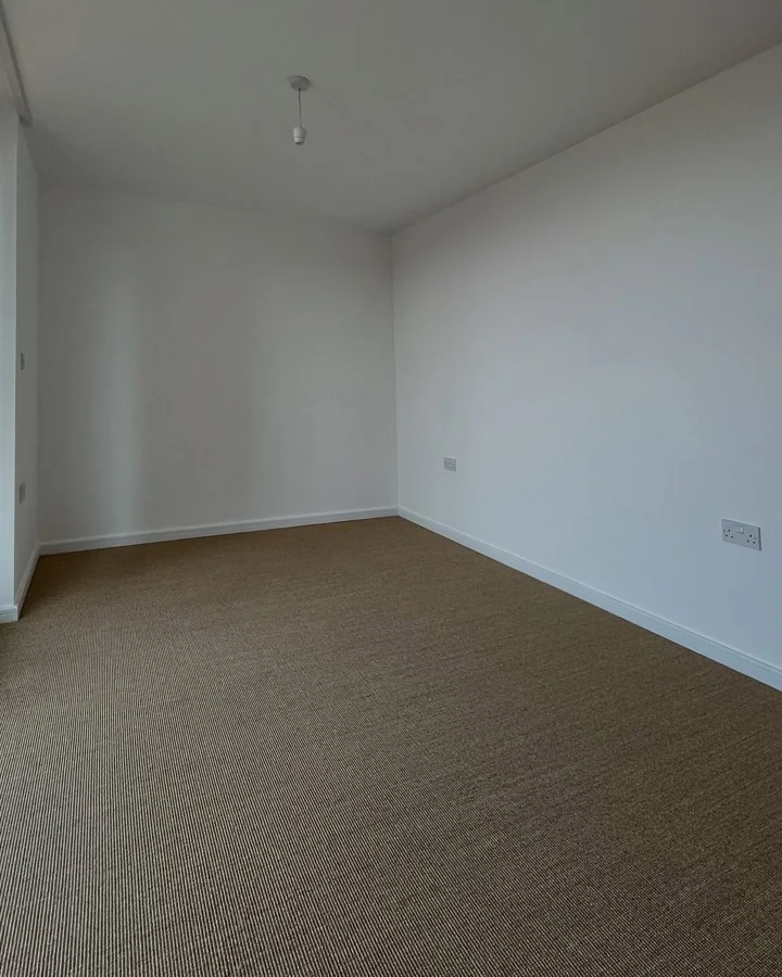 Fitted sisal carpet in empty room