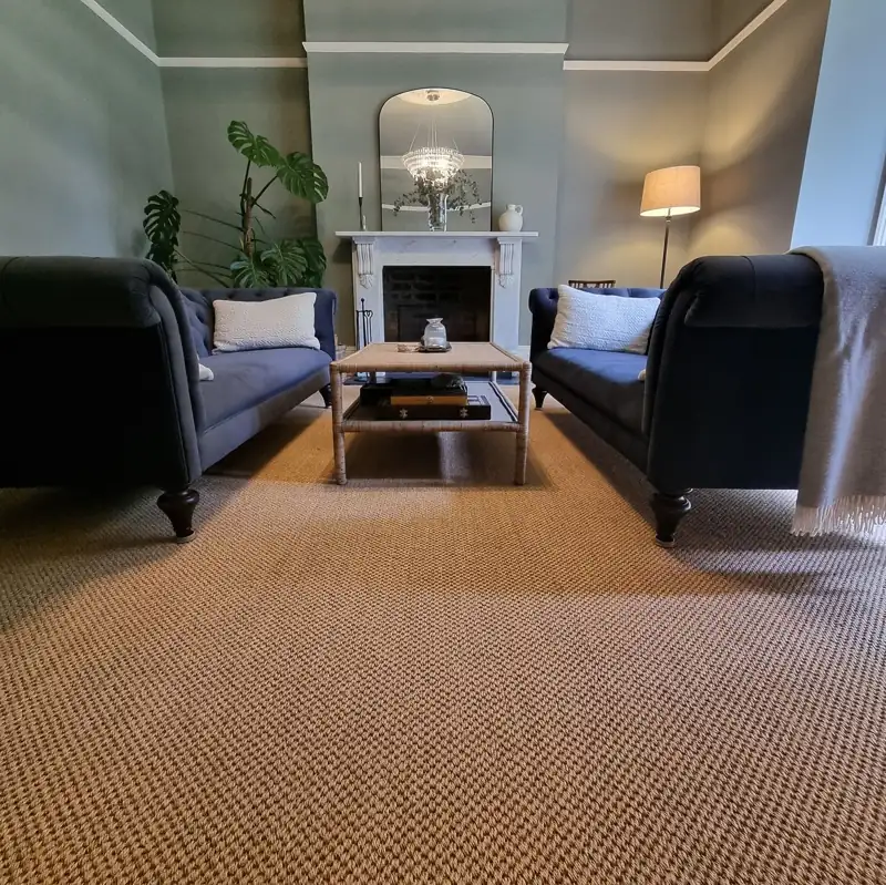 Natural woven sisal carpet modern sitting room